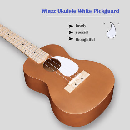 WINZZ Macaron Colors Series-AU-C00 Hawaiian Style Ukulele for Beginners